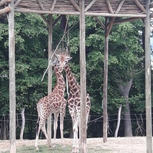 m_Školní výlet Zámek a Zoo Lešná (1).jpg