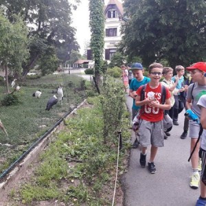 m_Školní výlet Zámek a Zoo Lešná (10).jpg