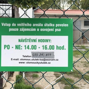 utulek13.JPG