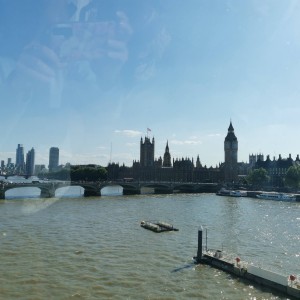 IMG_20240620_165517.jpg