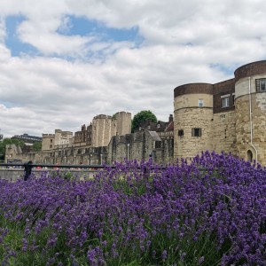 London (20).jpg