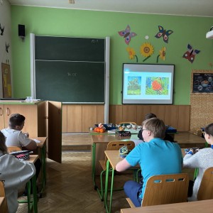 IMG_0241.jpeg
