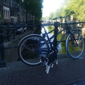 IMG_20250509_083909.jpg