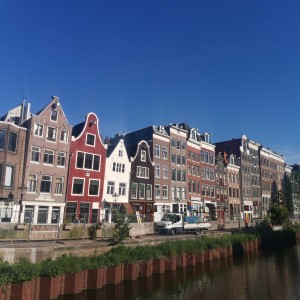 IMG_20250509_084703.jpg