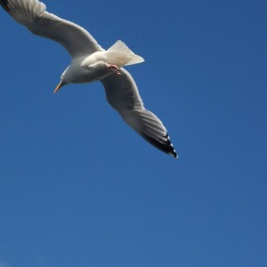 IMG_20250513_165914.jpg