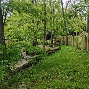 IMG_20250529_095736.jpg